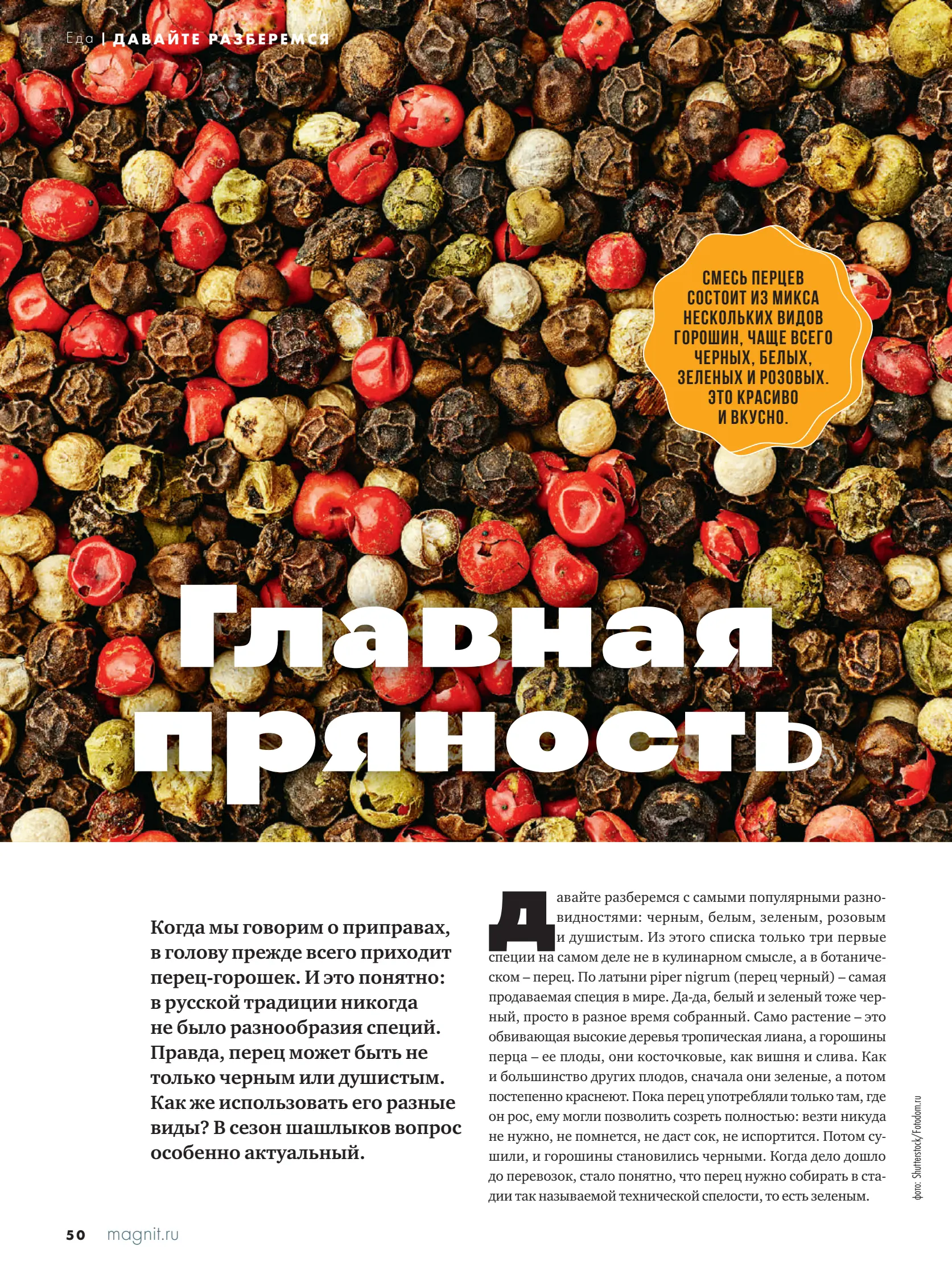 Журнал Магнит страница 51